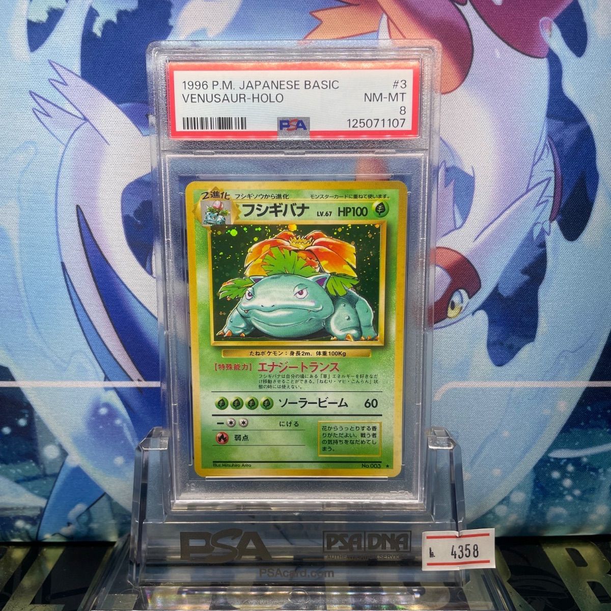 PSA8 フシギバナ ★ 第1弾拡張パック　全面ホロ 旧裏 ポケモンカード 旧裏 フシギバナ 初版 : [PMCG1-1](拡張パック PSA8 ポケモンカード