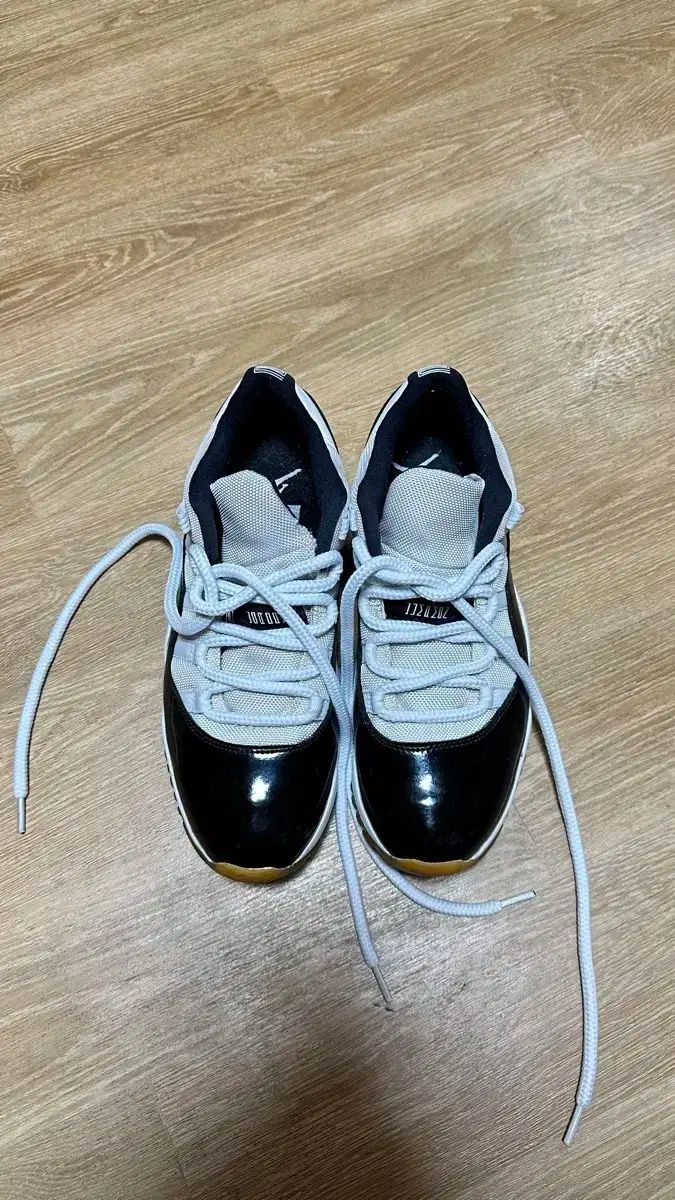 ジョーダン 11 コンコルド 270