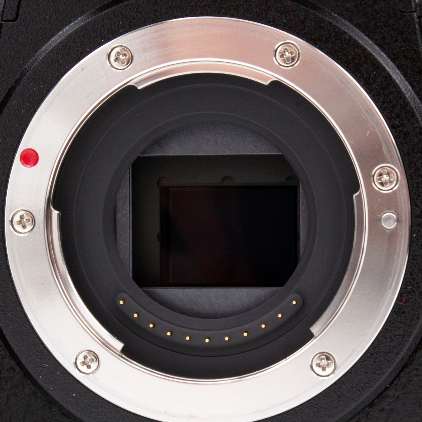 LUMIX DC-GH6 シャッター回数50回！　美品 LUMIX DC-GH6 シャッター回数50回！ 美品 Panasonic LUMIX GH6 × 三井公一