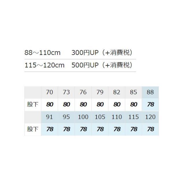 種類36：005アースグリーン/91(+330円） AZ-894 アイトス カーゴパンツ