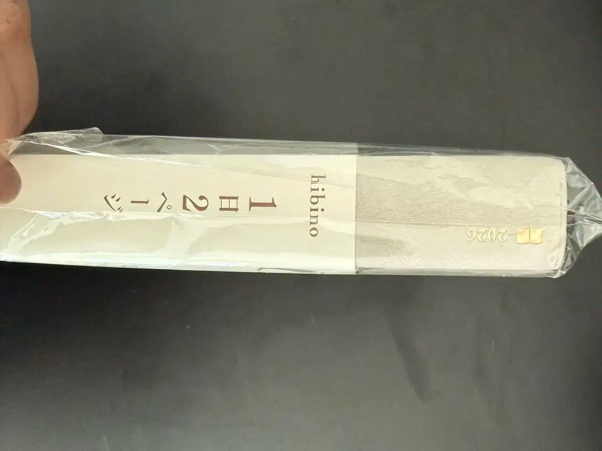 hibino 2026年 1日2ページ ダイアリー ビニールのみ破れ