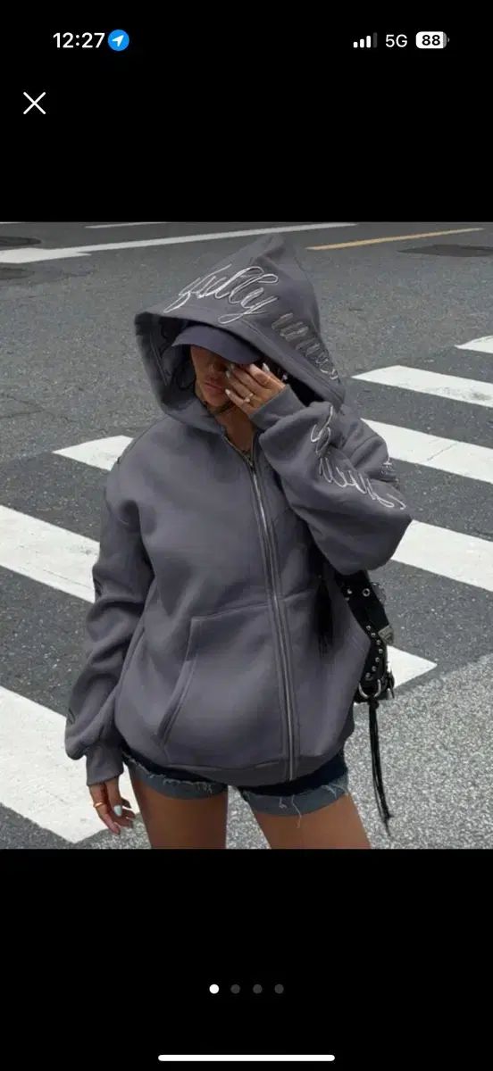 aeae グレー フロントジッパー パーカー Aeae グレー フロントジッパー クロップドパーカー 刺繍】グレージップ