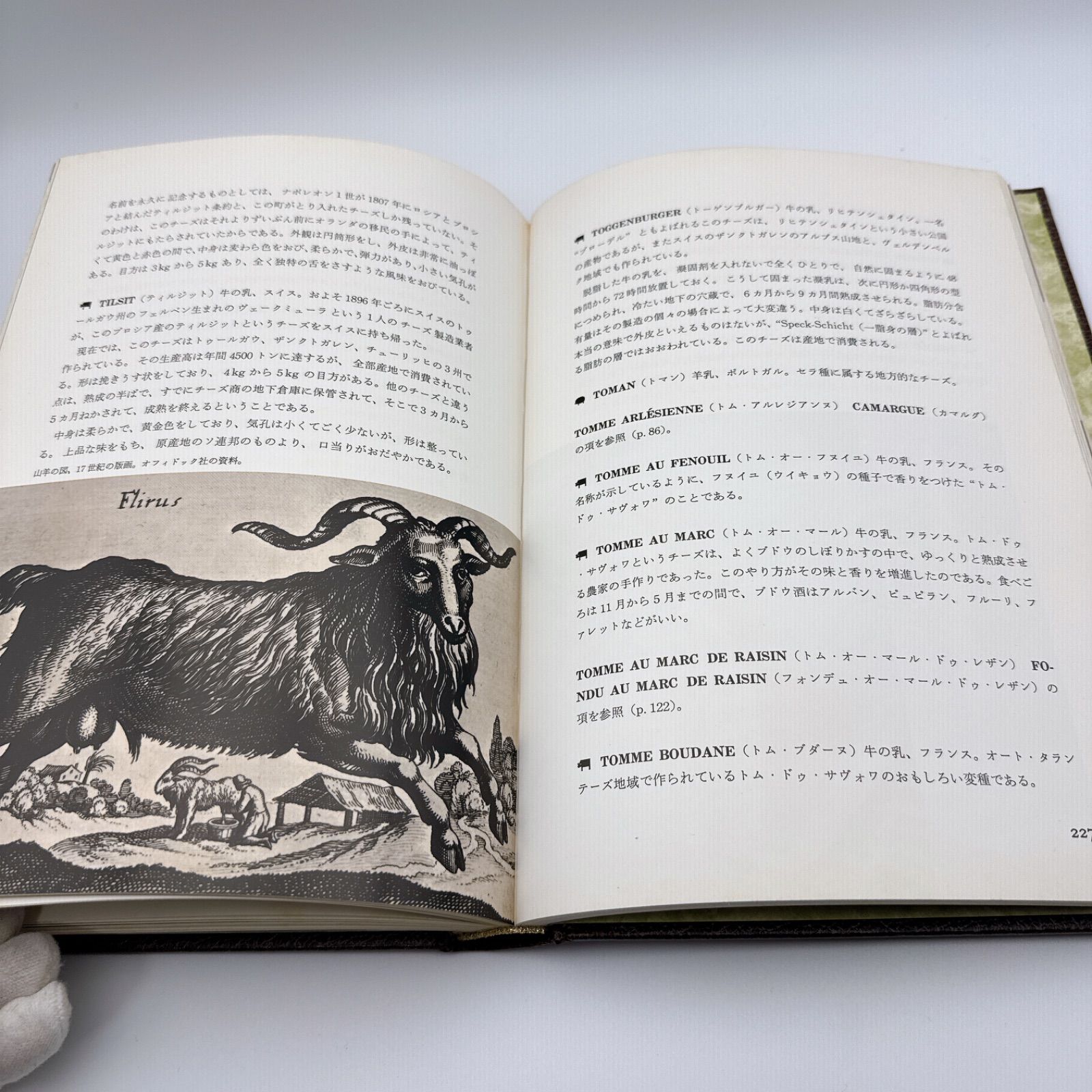 チーズの本 LE LIVRE DU FROMAGE クリスチャン・プリュム 松永晴司訳