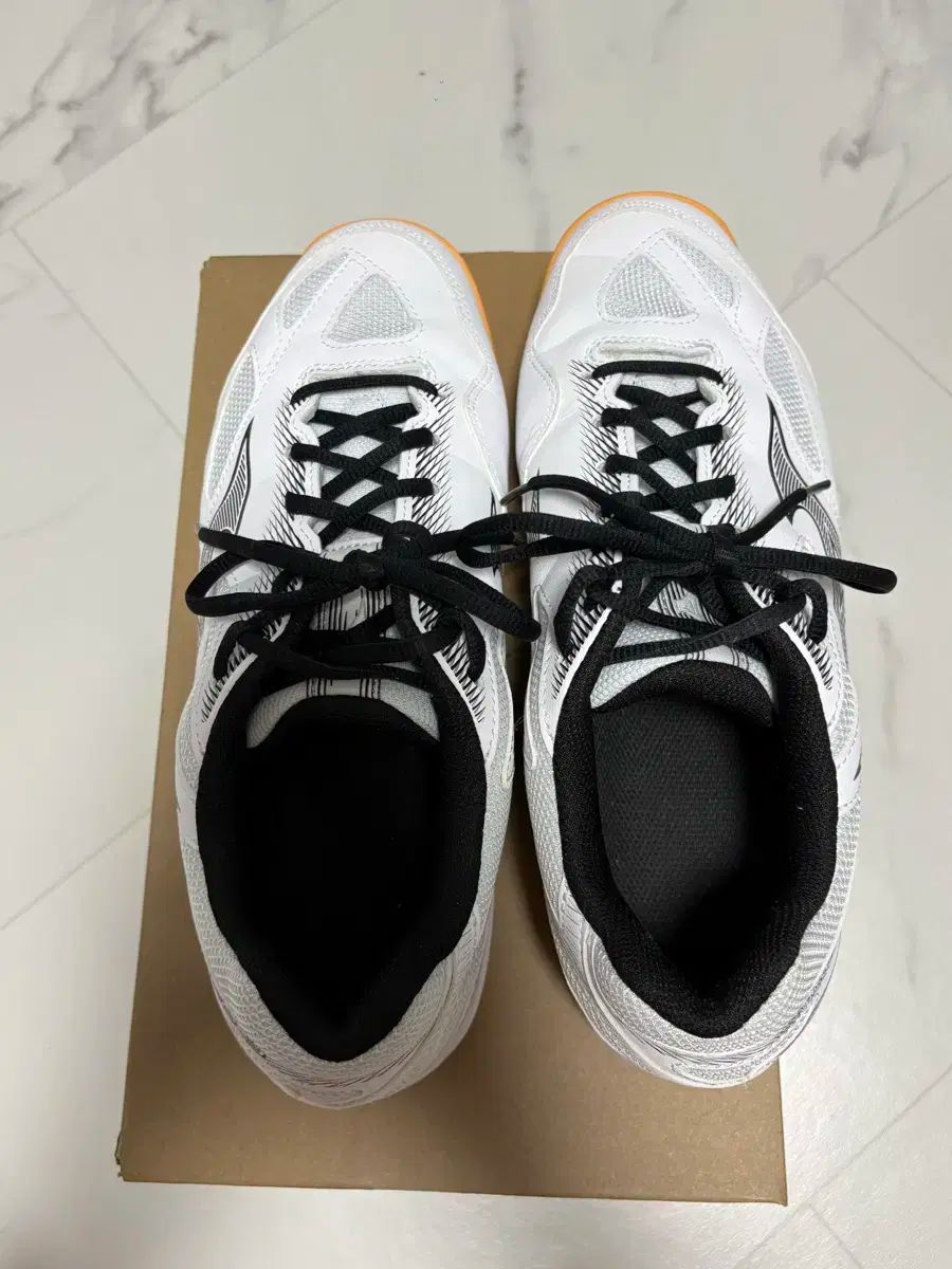 ミズノ インドアシューズ スカイブラスター3 ワイド