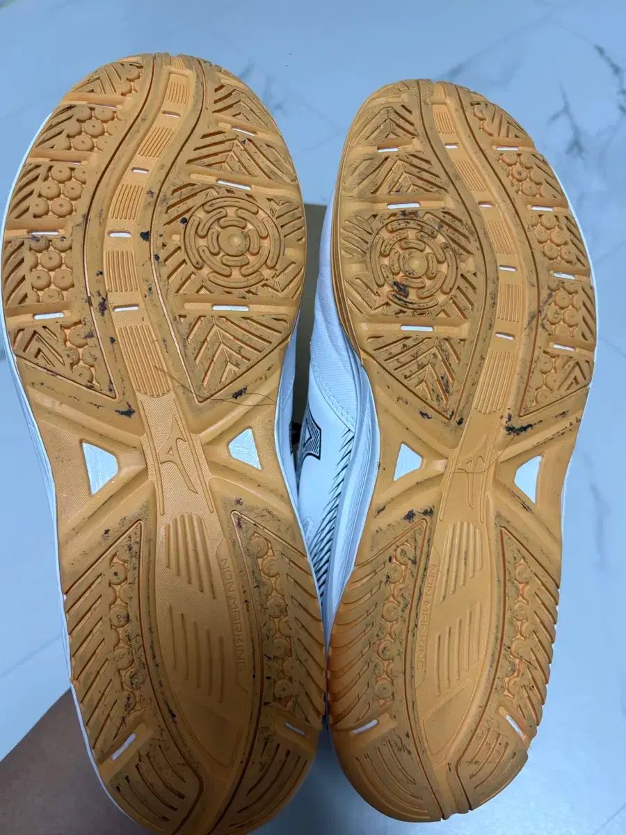 ミズノ インドアシューズ