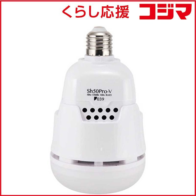 おまとめ】アンリ人形【Morning ショップ Chores】小【Giddyap】大＆小