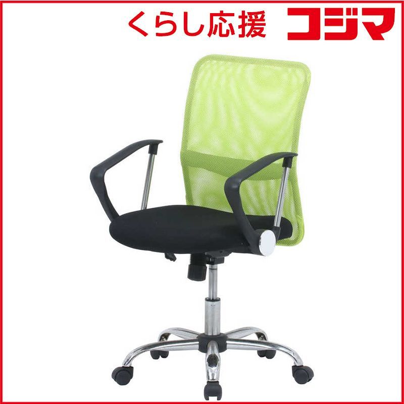 AL1036】ユッカ ロストラータ 超美形 シルバーブルー個体 2024