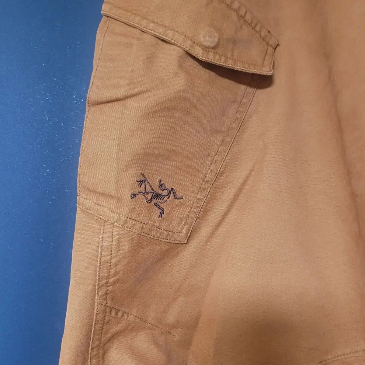 アークテリクス カーゴパンツ