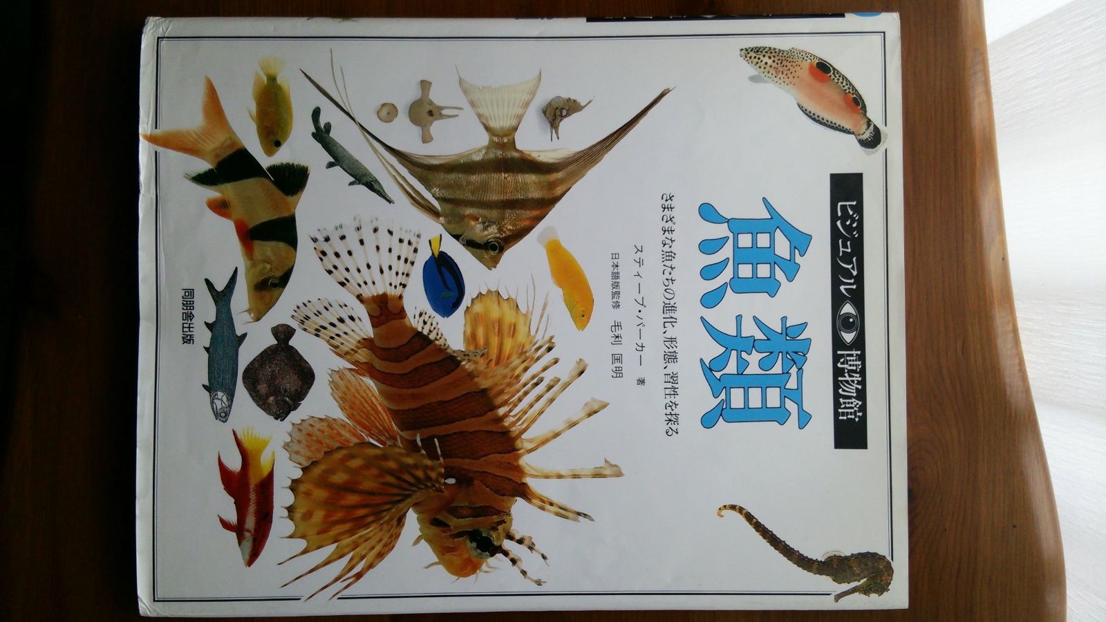 ビジュアル博物館 20冊セット ビジュアル博物館 第24巻 | サイモン