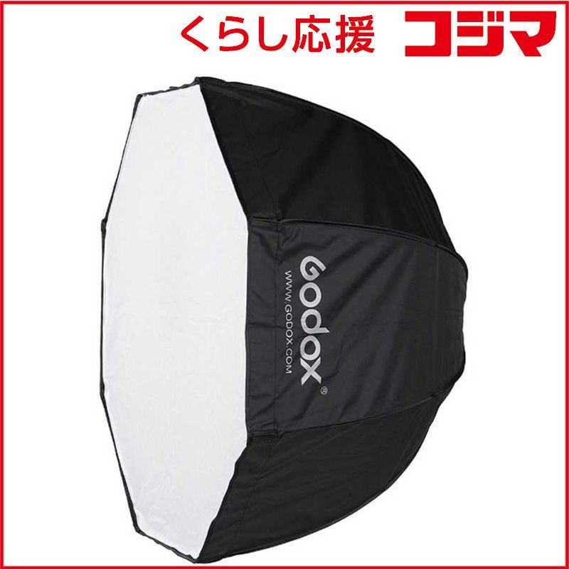 PG38 パキポディウム グラキリス 発根済 現地株