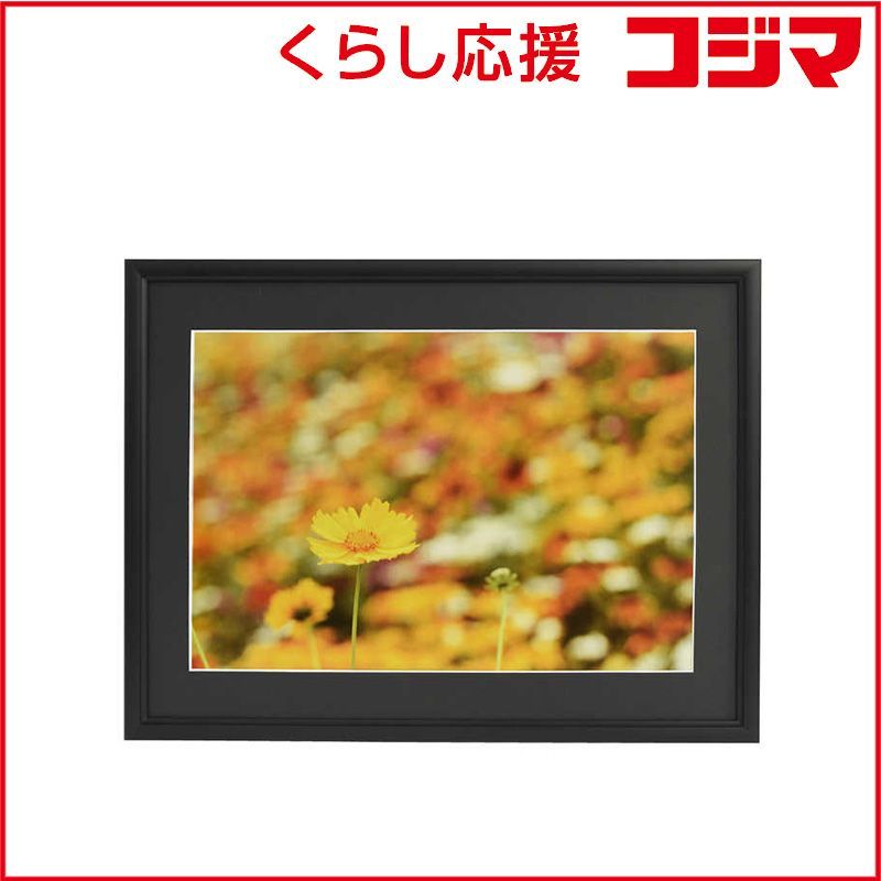 【 新品 未開封 】 フジカラー アルミ額縁 A33 A3ノビ ブラック A33A3ノビブラック 未使用 送料無料