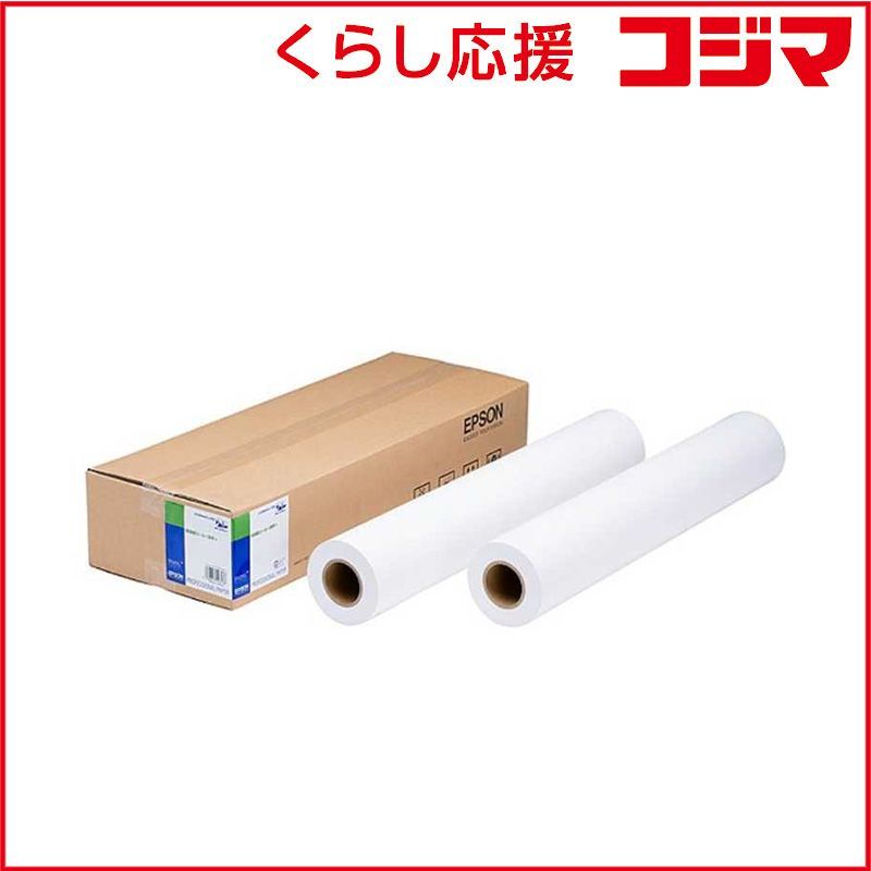 エプソン 普通紙ロール 厚手 ２本入り約７２８ｍｍ Ｂ 幅 ５０ｍ