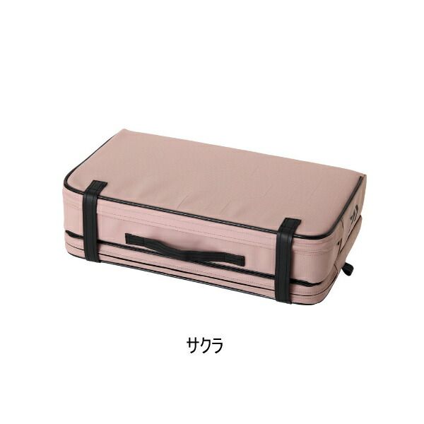 25年 新商品 ダイワ クッション LT D サクラ