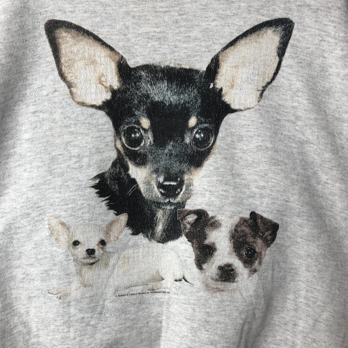 古着 90年代 VOLUNTEER Chihuahua チワワ 犬柄 アニマル スウェット 