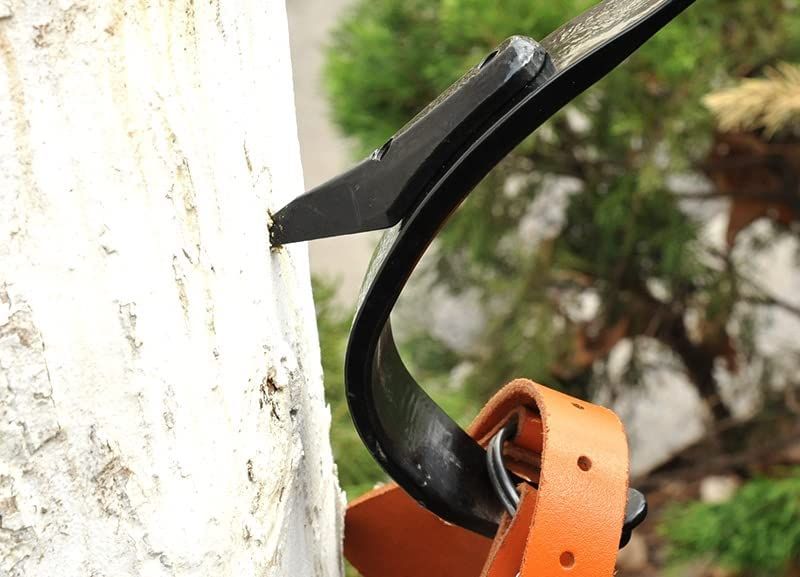 アーボリスト 昇柱器