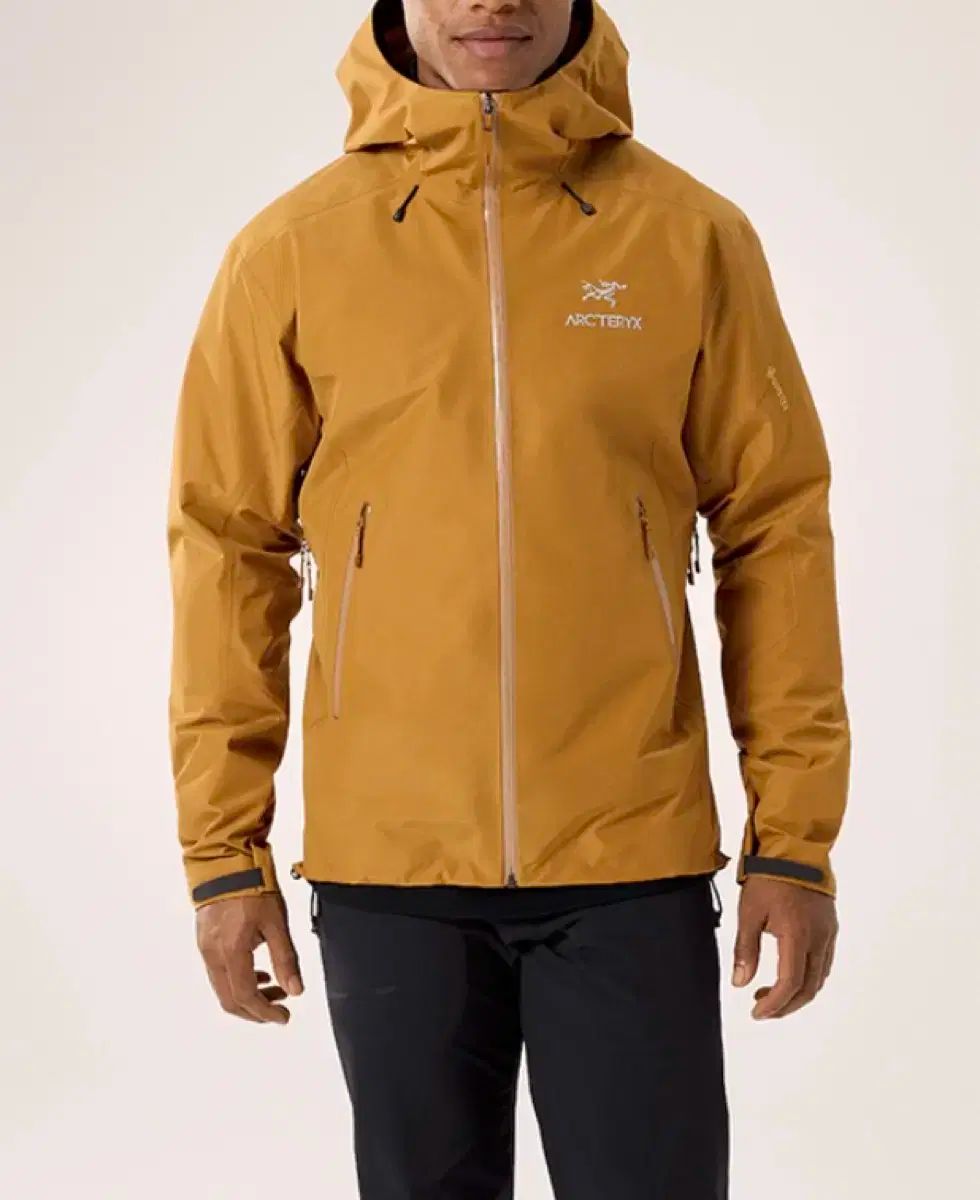 ARC TERYX アークテリクス ベータ LT ジャケット L