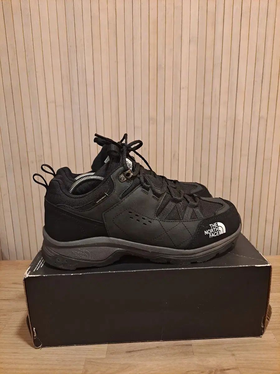 FACE ザノースフェイス