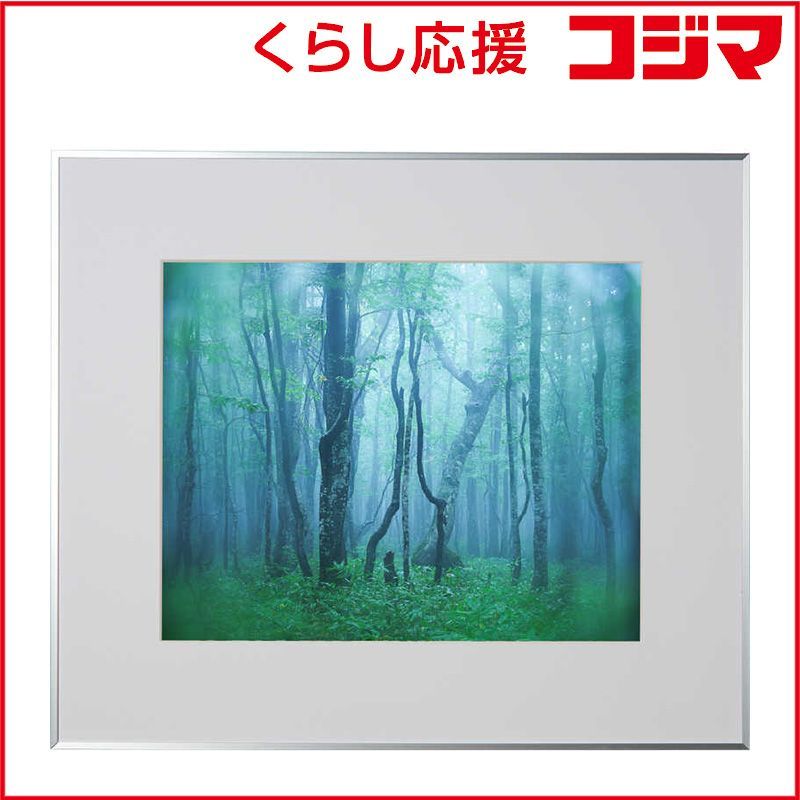 shelley シェリー ライラックタイム プレート 21cm