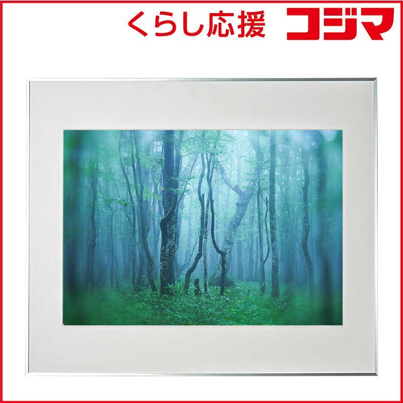 ケンコー ギャラリー Ａ２ シルバー AGY-A 2-SV