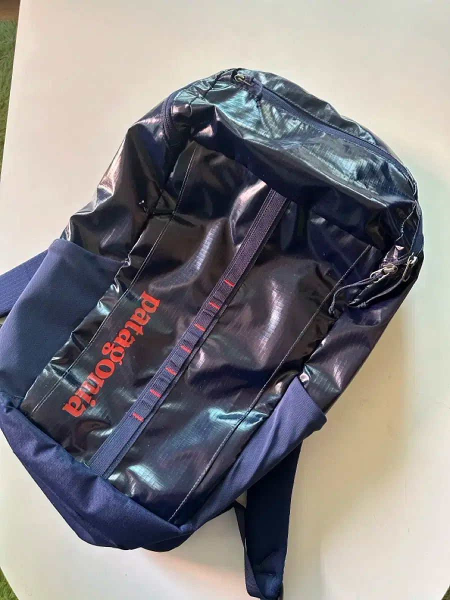 patagonia ブラックホール 25L バックパック