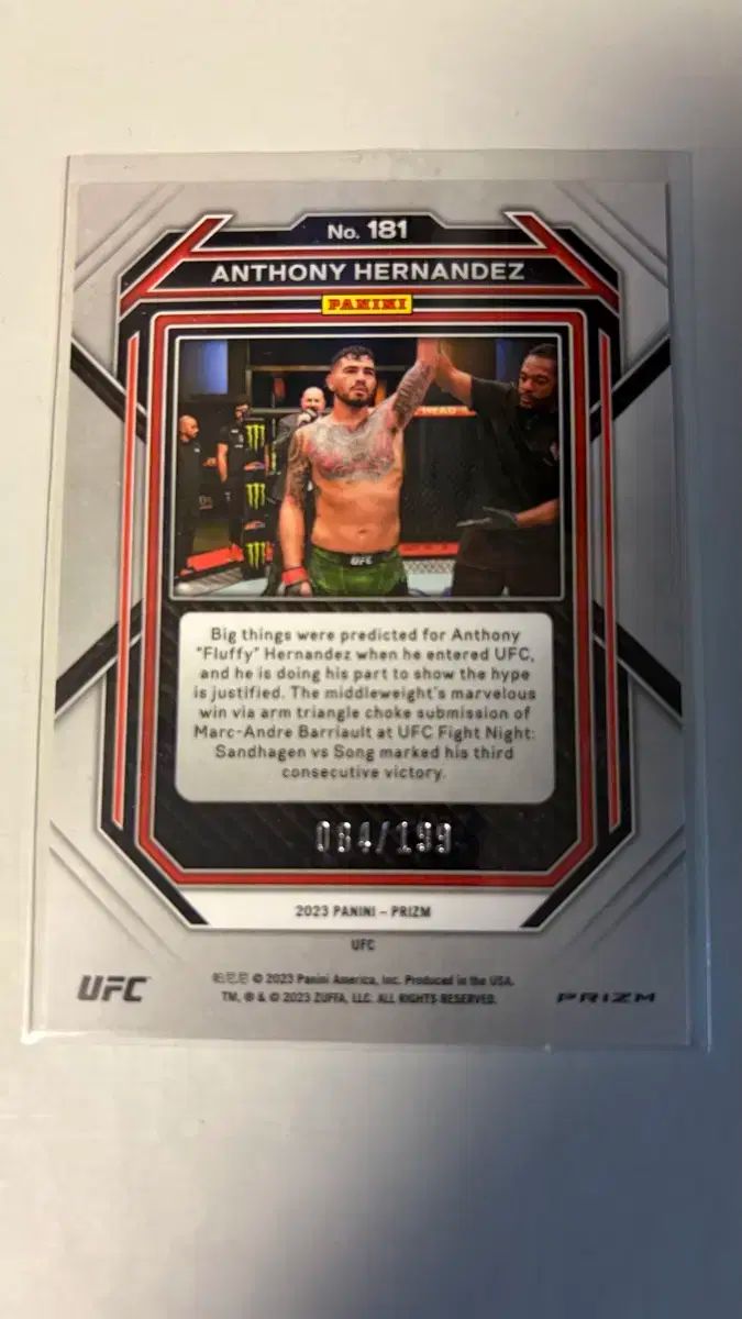 エルナンデス パディ