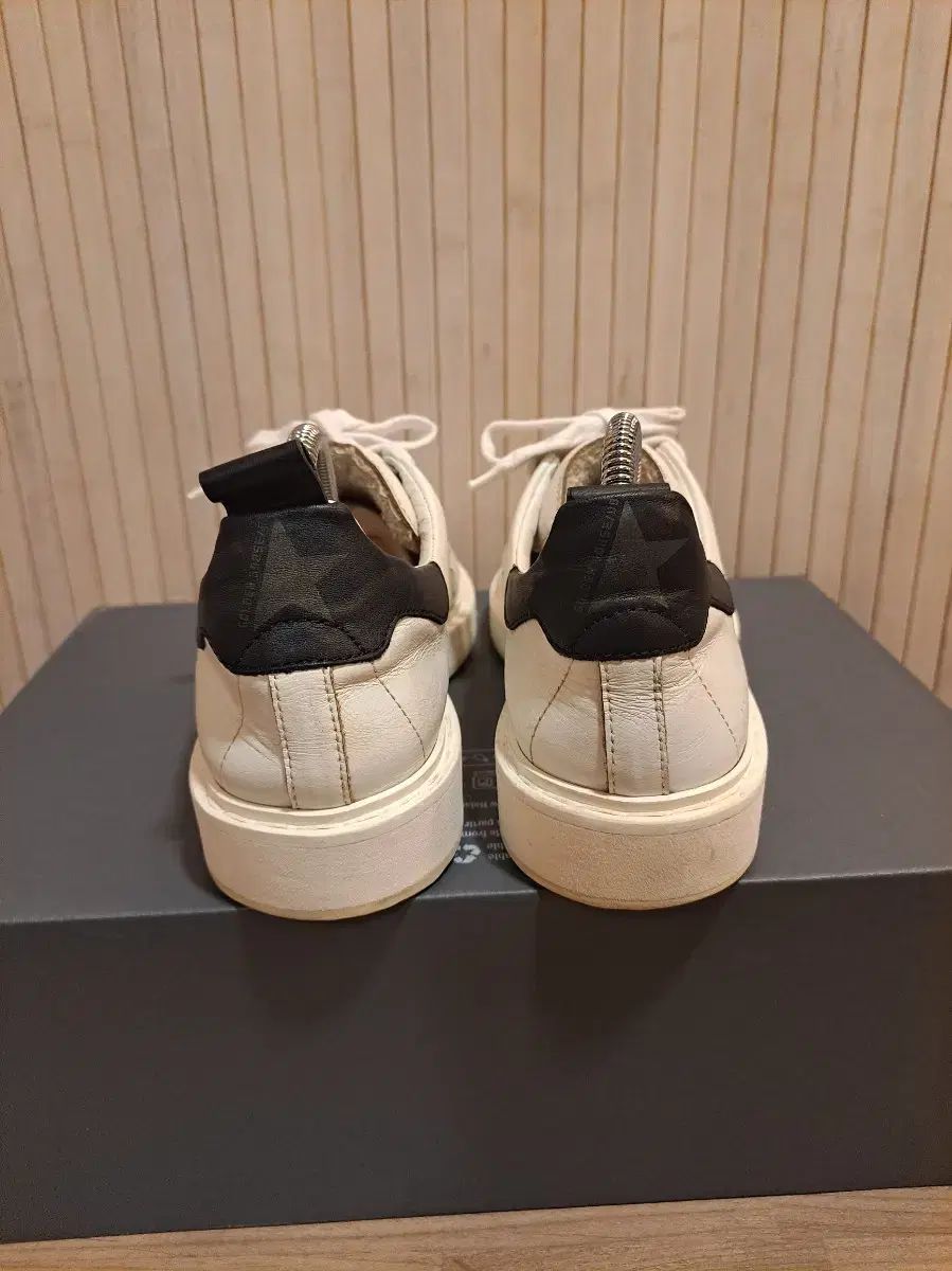 ゴールデングース スターター