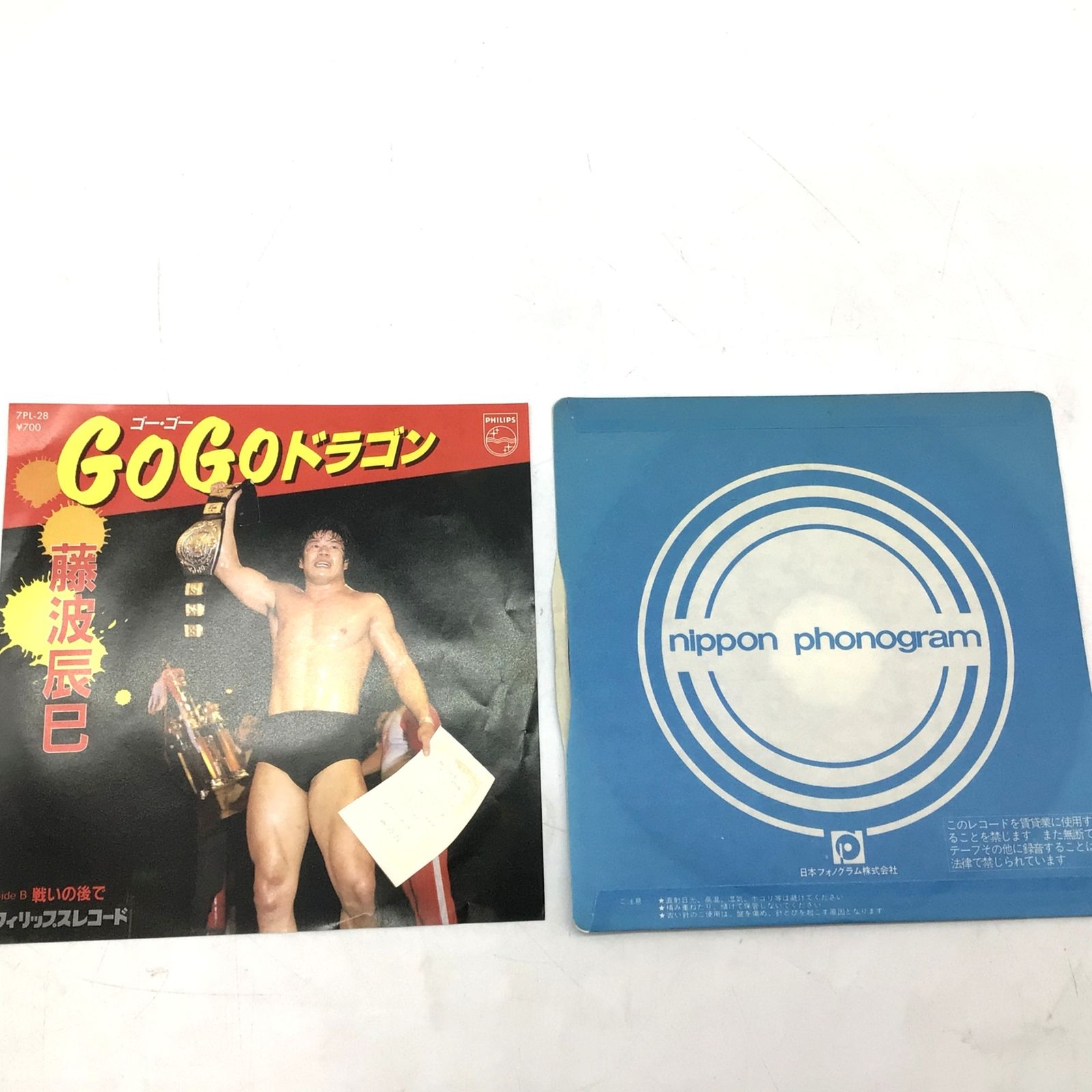 山背骨のドラゴン foil 日本語版 山背骨のドラゴン foil 日本語版 (