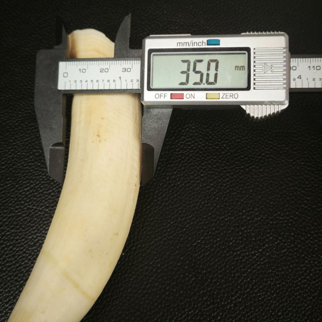 15cm