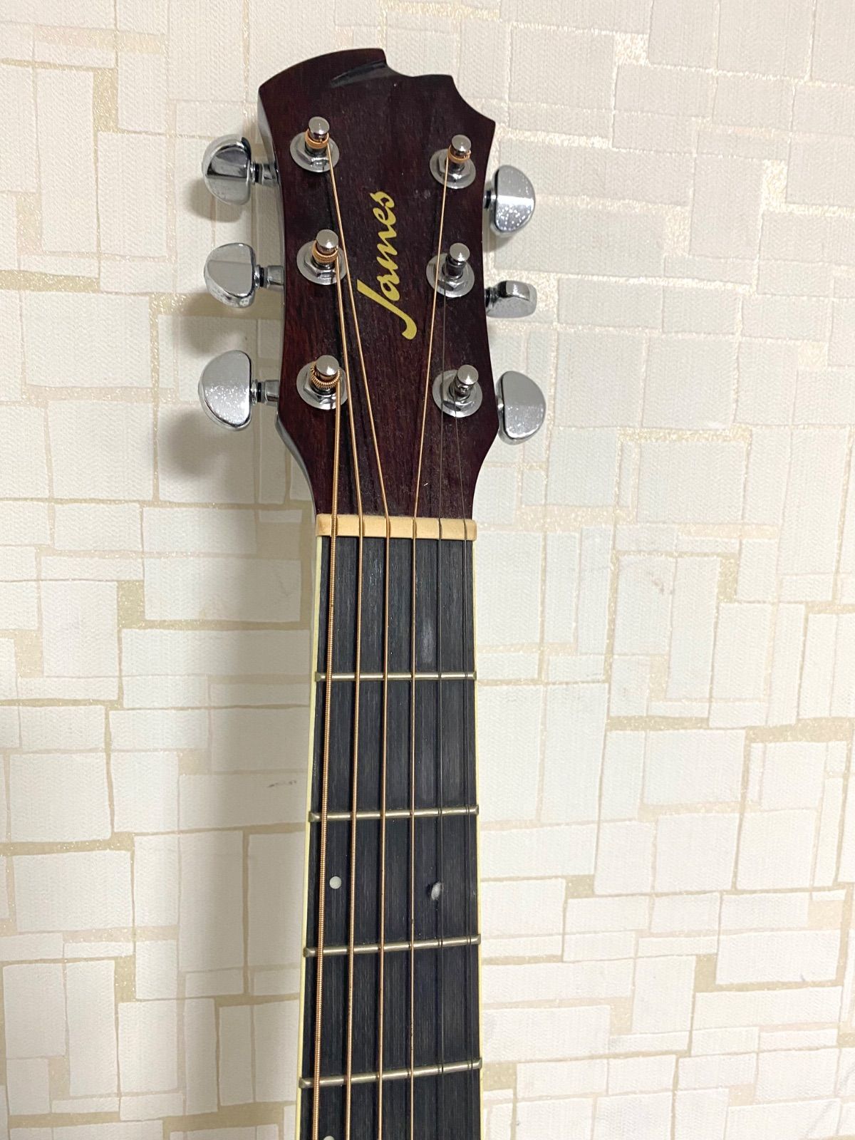 楽器・機材 James ジェームス アコースティックギター J-500A OVANAT