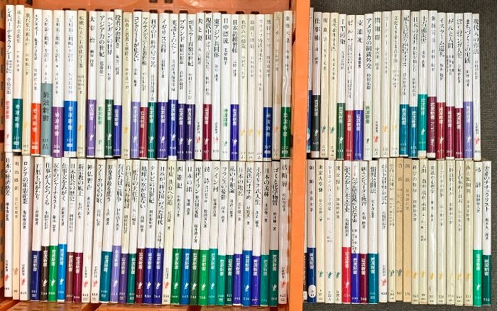 岩波新書関係 まとめて100冊以上 岩波書店 文明論之概略 を読む 英語とわたし アメリカの心の歌 フランスの憂鬱 ミツバチの世界 他