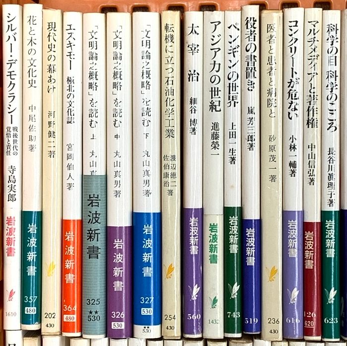 岩波新書関係 まとめて100冊以上 文明論之概略 を読む 英語とわたし アメリカの心の歌 フランスの憂鬱 ミツバチの世界 他