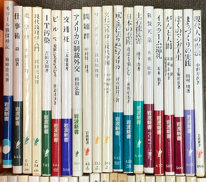  岩波新書関係 まとめて100冊以上 文明論之概略 を読む 英語とわたし アメリカの心の歌 フランスの憂鬱 ミツバチの世界 他 文学 小説 本
