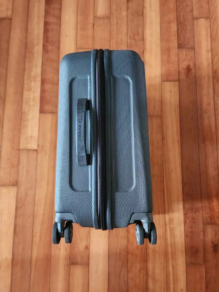 キャリアー 旅行用