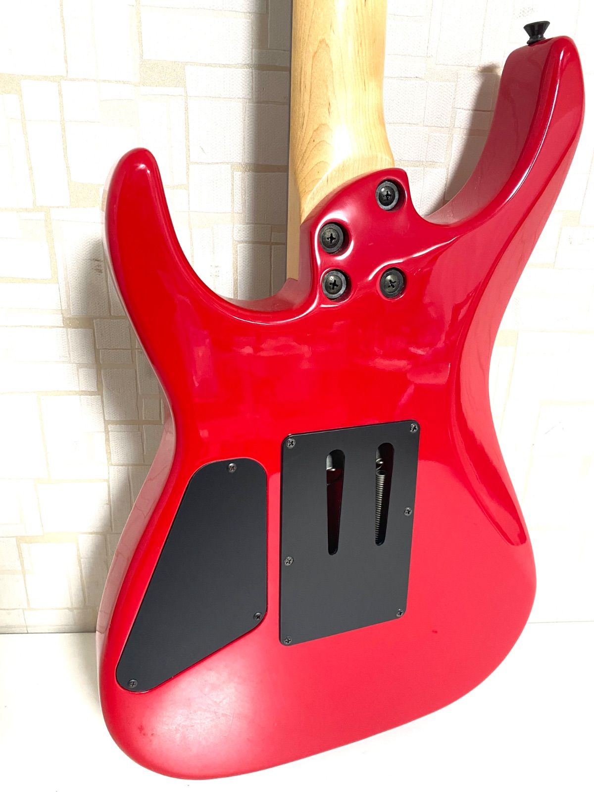 レッド ソフトケース付き