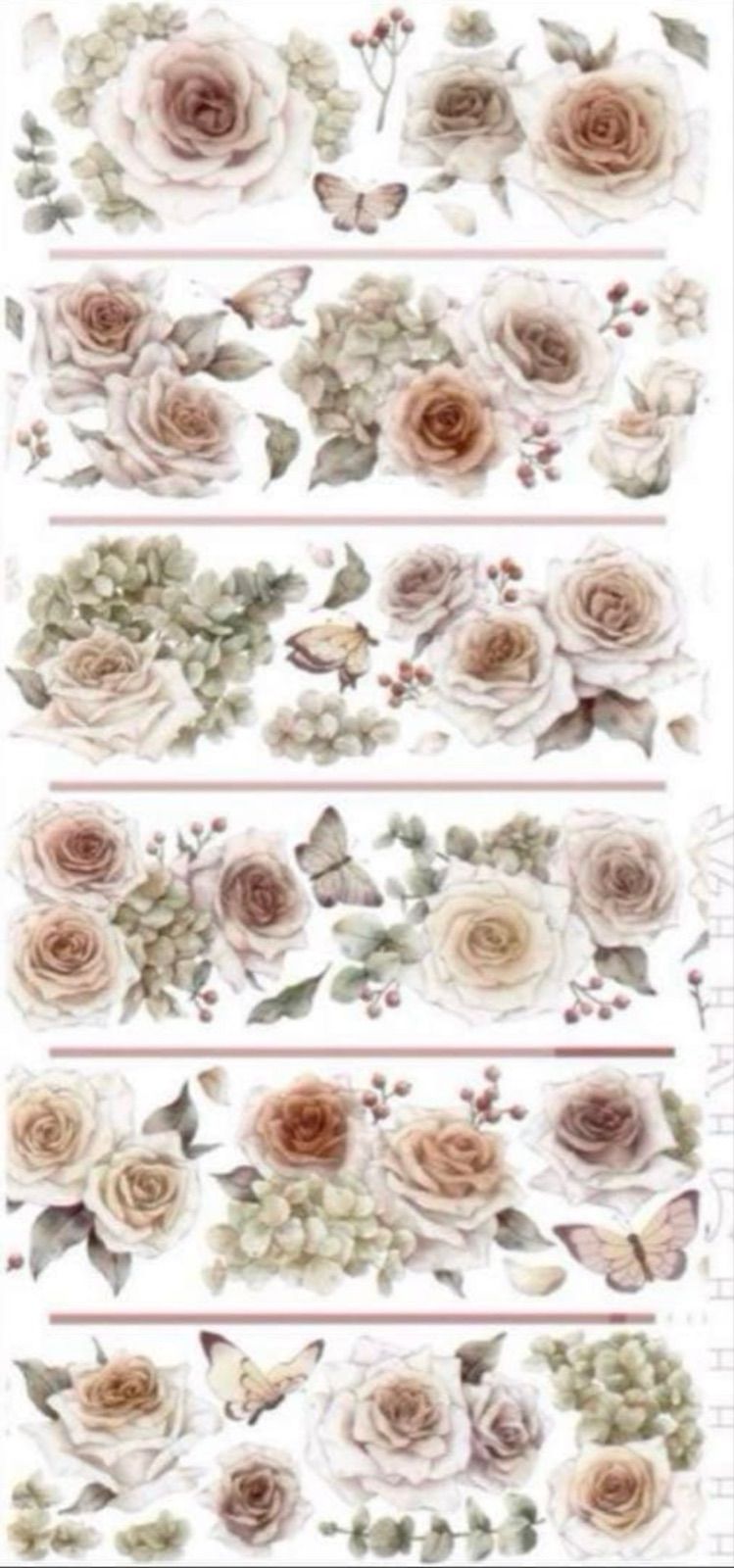 贝壳光 6cm×5m 玫瑰故事 海外マスキングテープ 海外マステ 花 バラ