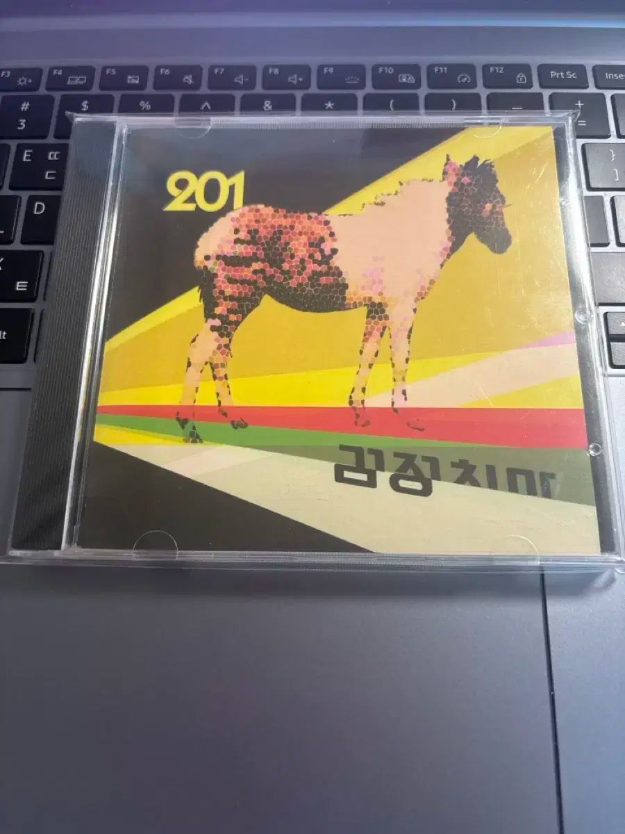 The Black Skirts コムジョンチマ 201 初版 CD