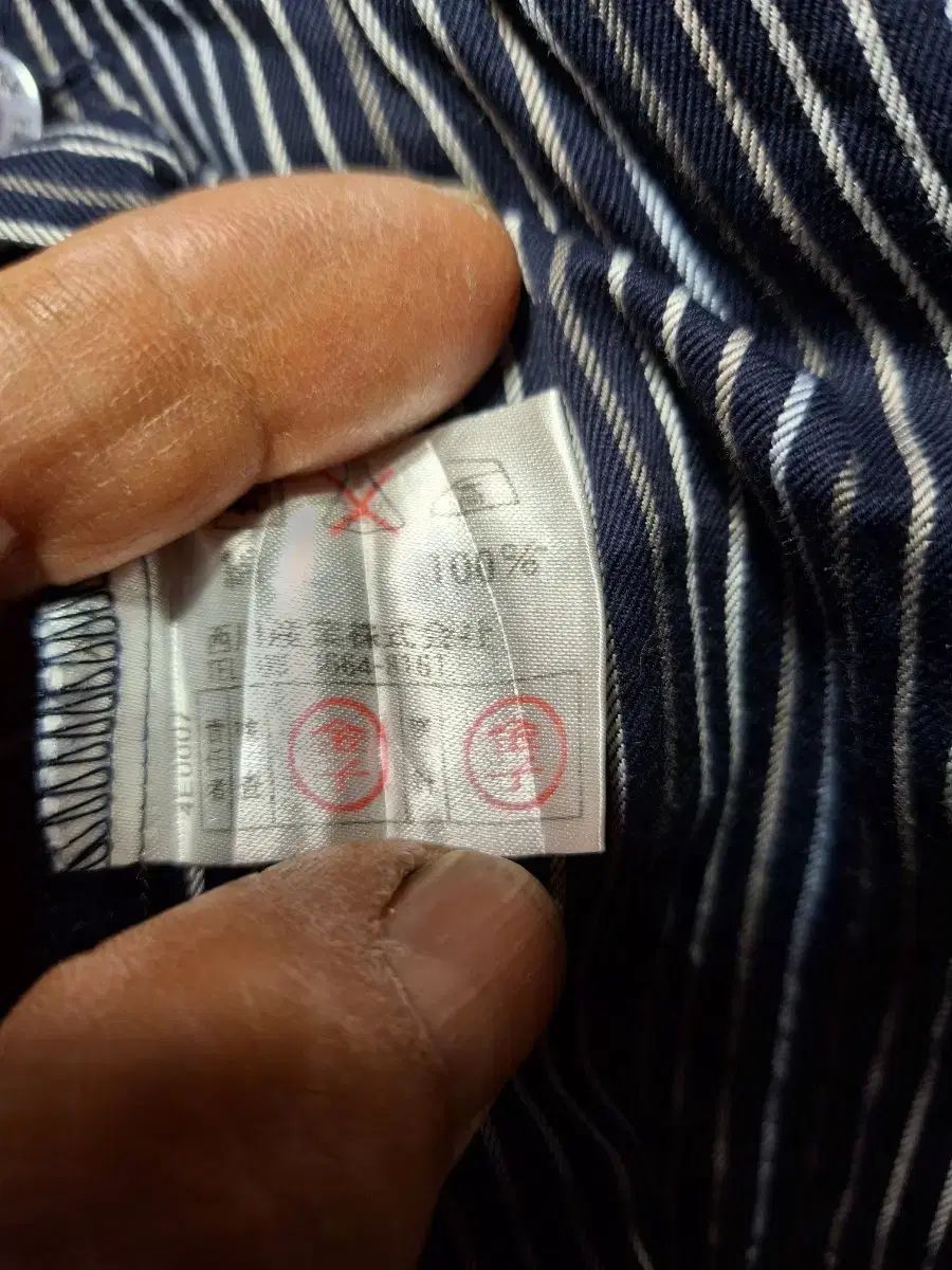 ストライプ コットン