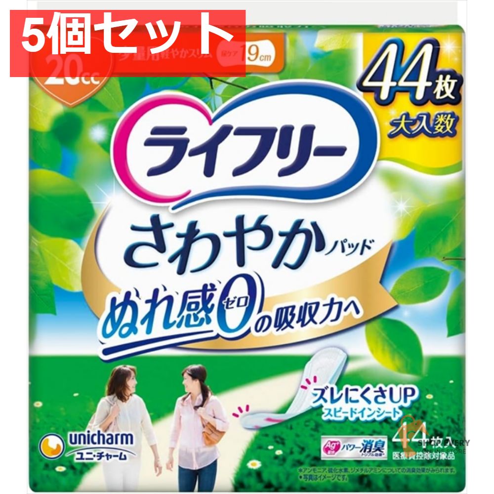 DVD ウゴウゴルーガおきらくごくらく15年！不完全復刻DVD-BOX（完全