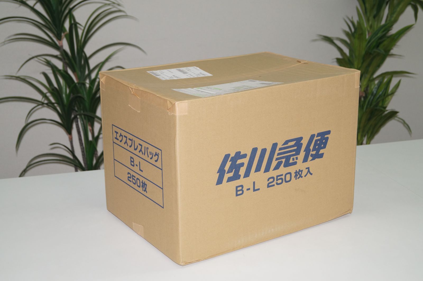 在庫処分 佐川急便 エクスプレスバッグ EXPRESS BAG B-Lサイズ 縦110mm 