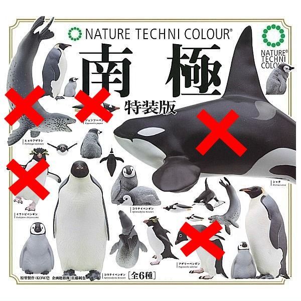 ♯Kvi26DZネイチャーテクニカラー南極人気4種 ♯Kvi26DZネイチャーテクニカラー南極人気4種 再販》ネイチャー