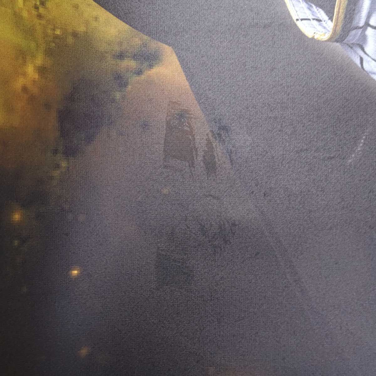 阪神タイガース 坂本誠志郎