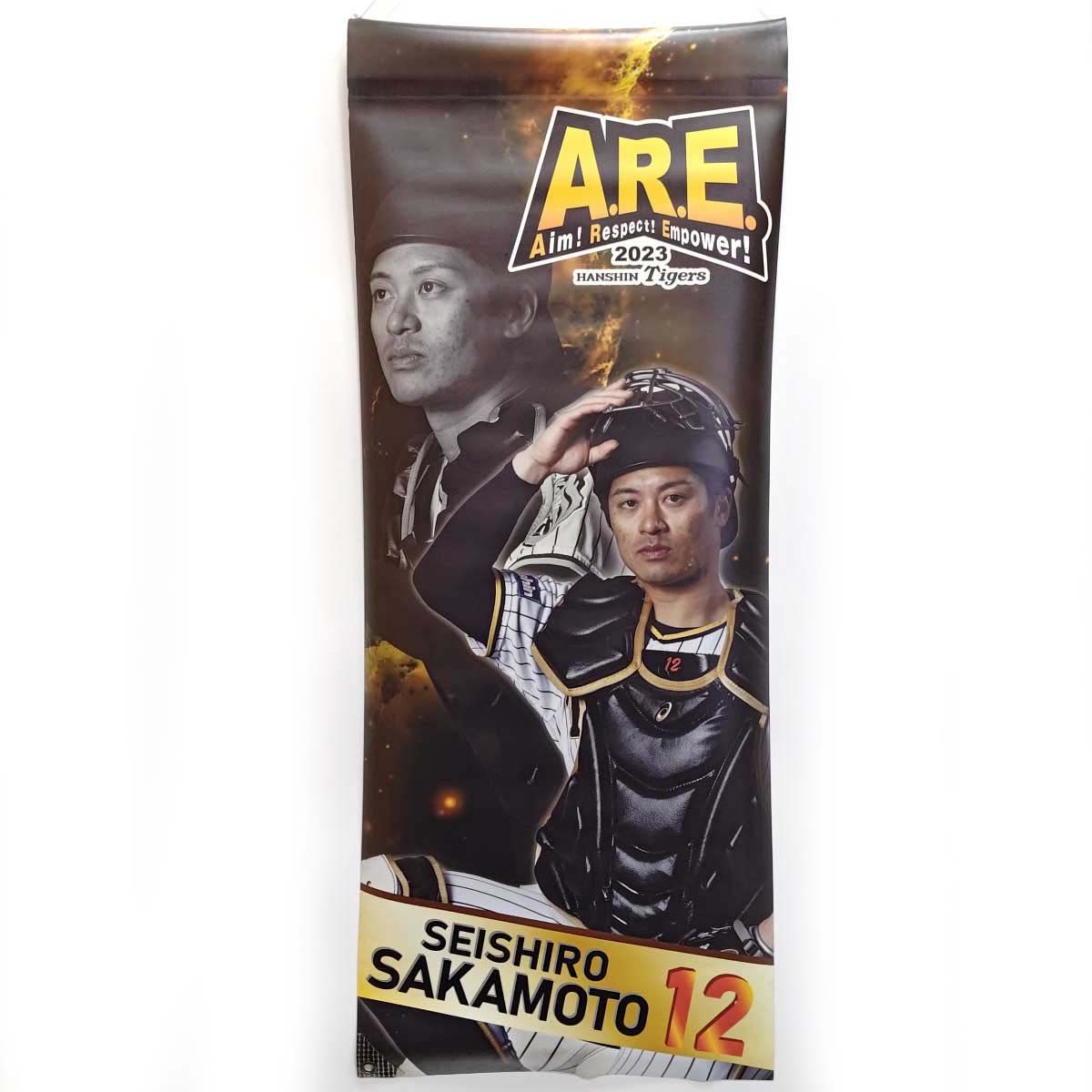 甲子園駅前広場 実使用タペストリー