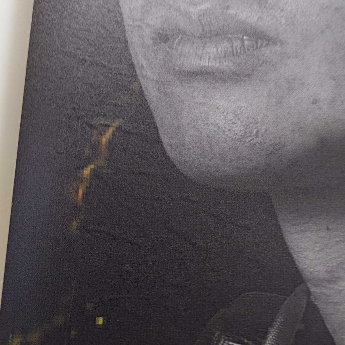 阪神タイガース 坂本誠志郎