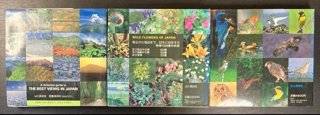 山渓カラー名鑑 8冊セット まとめ売り レアセットレア 貴重 希少 列島