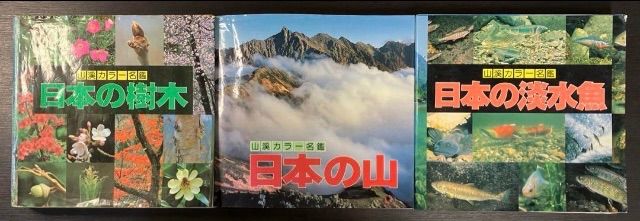 山渓カラー名鑑 8冊セット まとめ売り レアセットレア 貴重 希少 列島