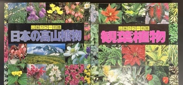 山渓カラー名鑑 8冊セット まとめ売り　レアセット レア 貴重 希少 列島 野鳥 山渓カラー名鑑 8冊セット まとめ売り レアセットレア 貴重 希少 列島