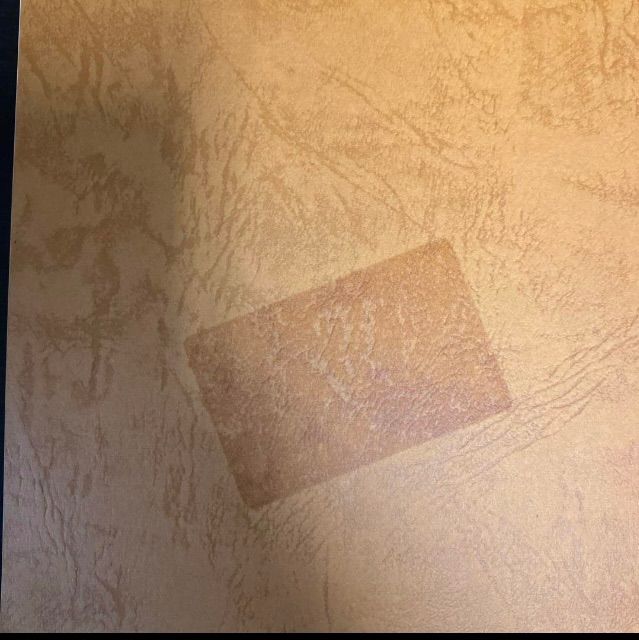 山渓カラー名鑑 8冊セット まとめ売り レアセットレア 貴重 希少 列島