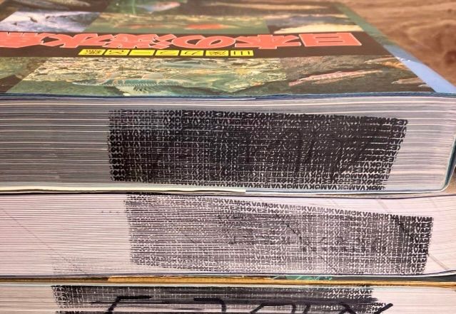 山渓カラー名鑑 8冊セット まとめ売り レアセットレア 貴重 希少 列島