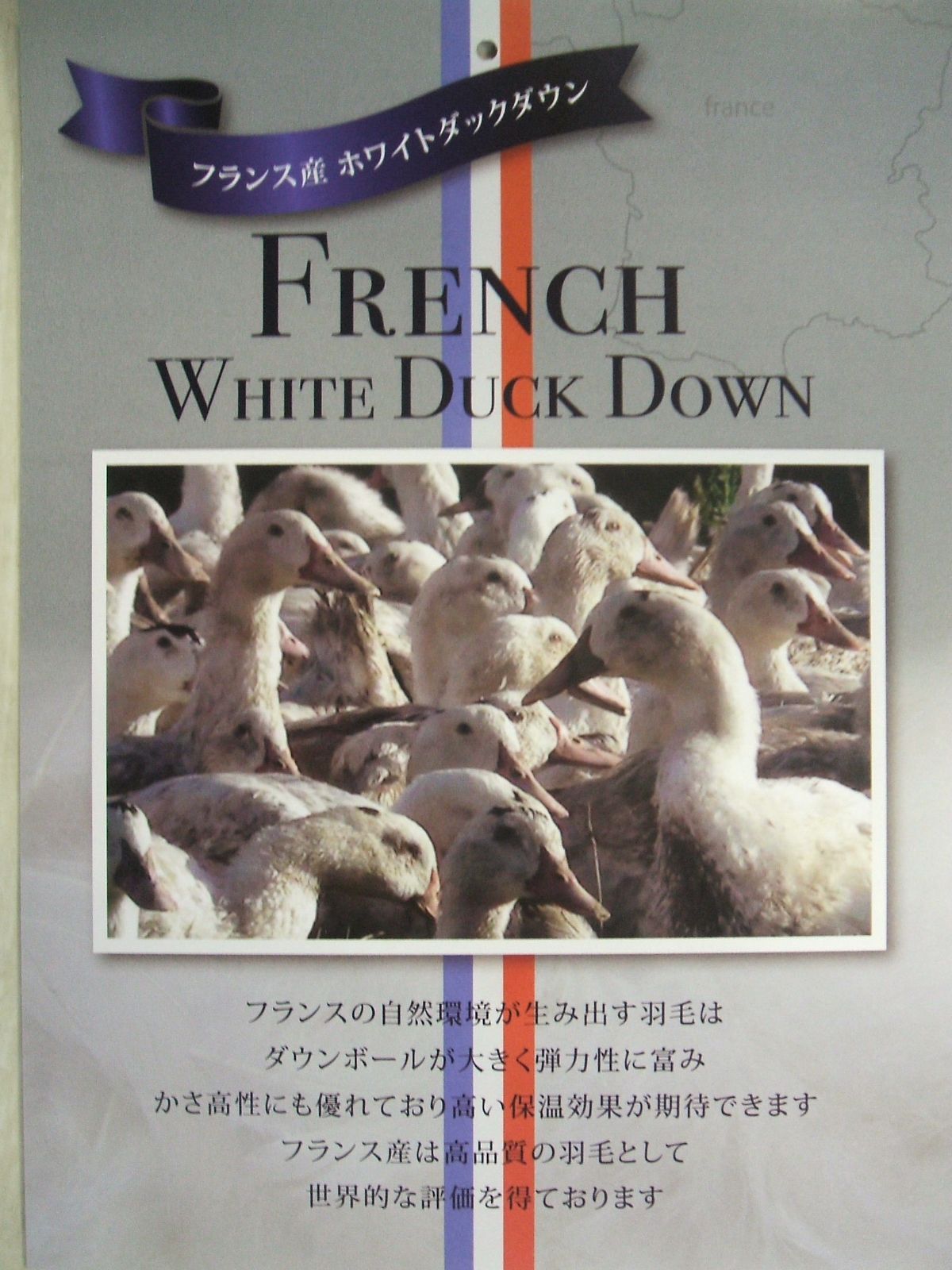 羽毛布団 シングル