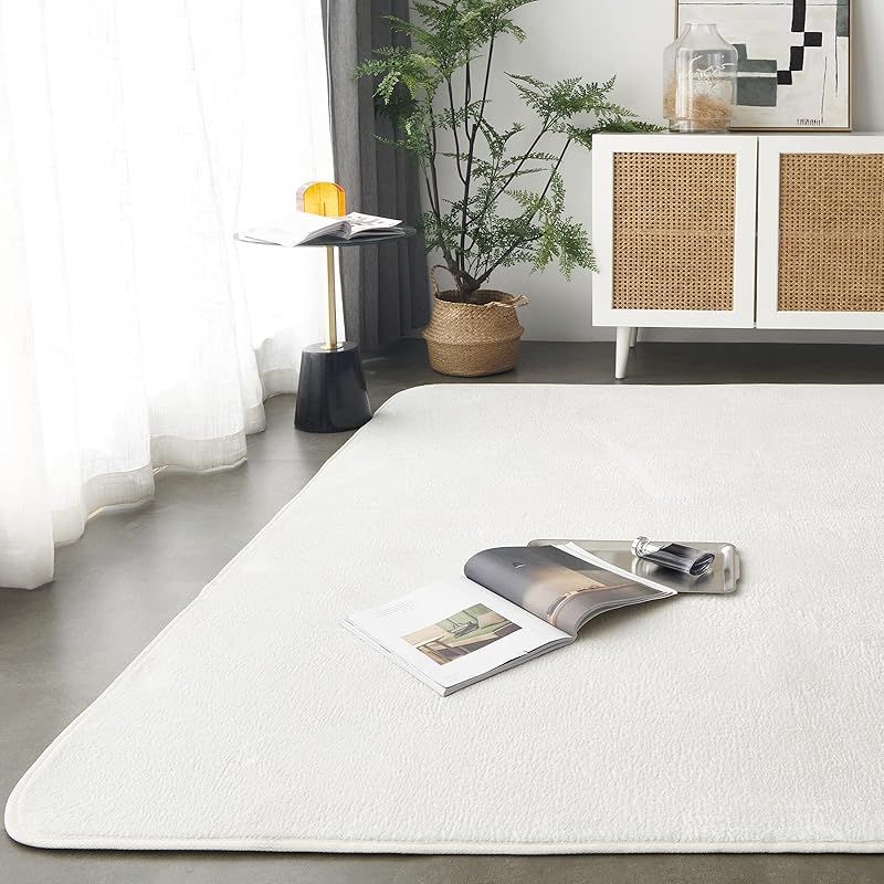 龍の目 端渓双竜硯 迫力の大型名硯